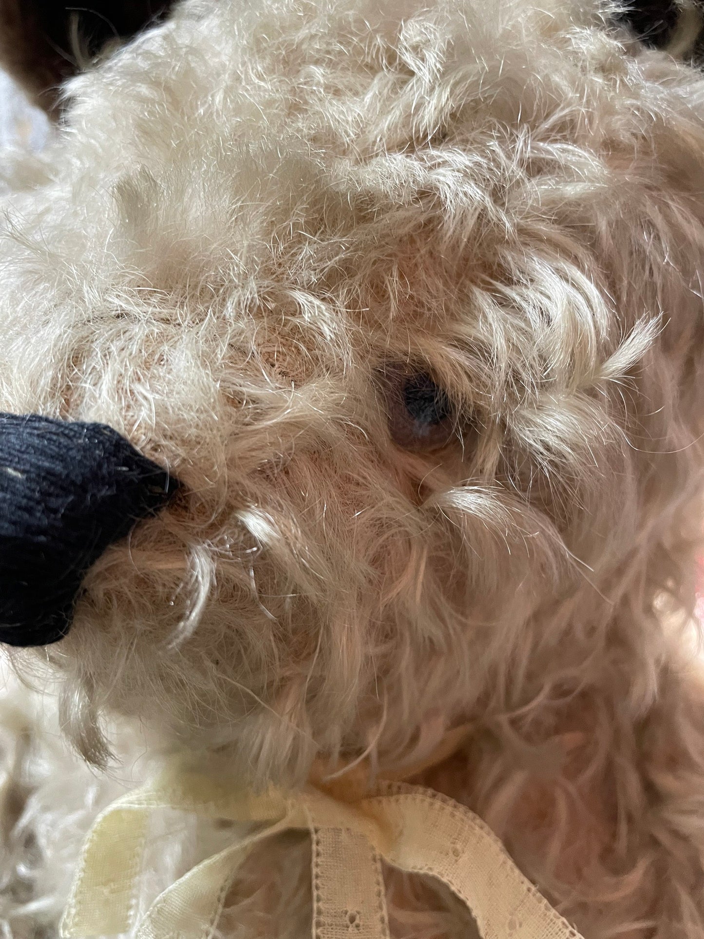 アンティークベア